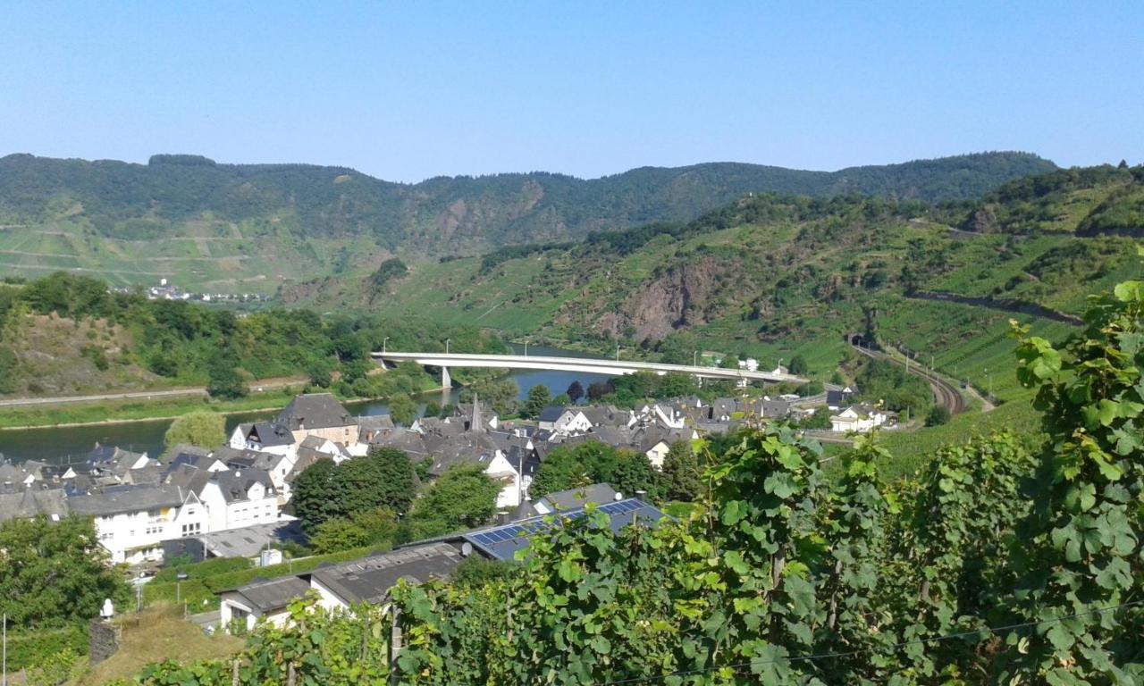 Ferienhaus Treis Neef 외부 사진